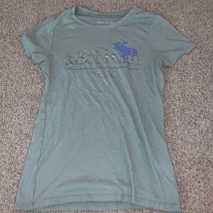 Abercrombie and Fitch T- Shirt